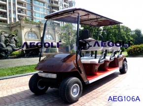 6座高尔夫球车 AEG106A